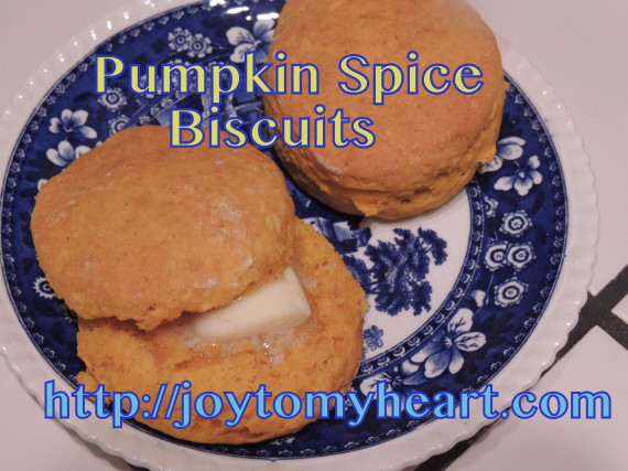 Pumpkin Spice Biscuits2