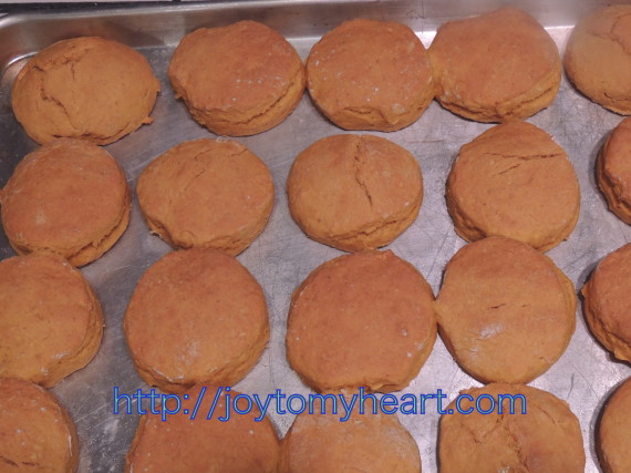 pumpkin biscuits baked