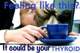 thyroid tired2