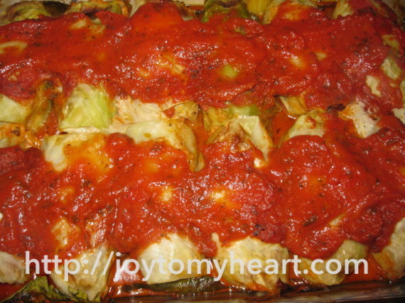 cabbage rolls sauced