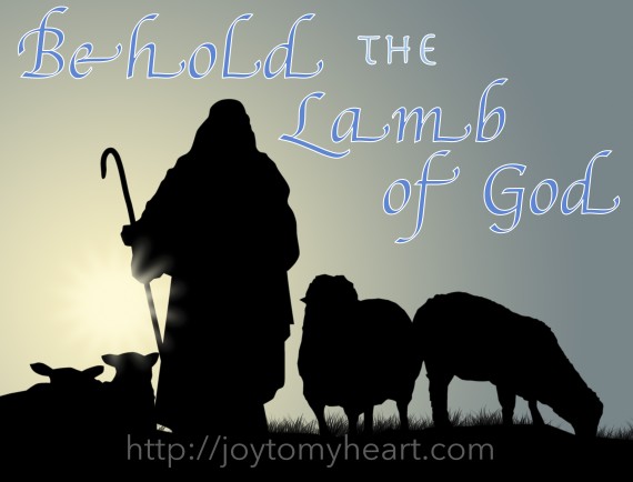 lamb of God 5