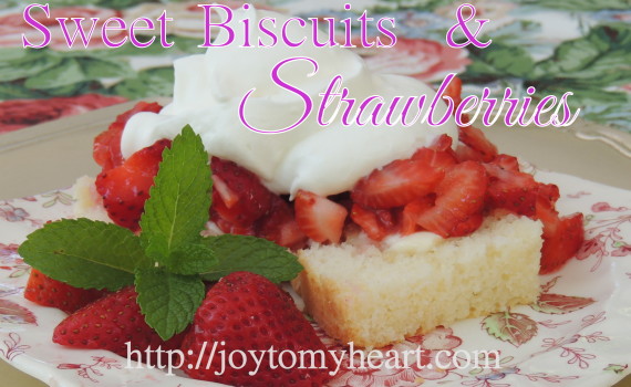 Sweet BIscuits and Strawberries 12