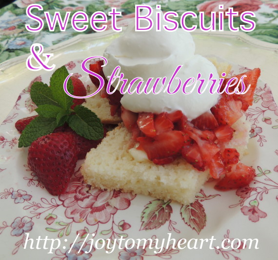Sweet Biscuits and strawberries1