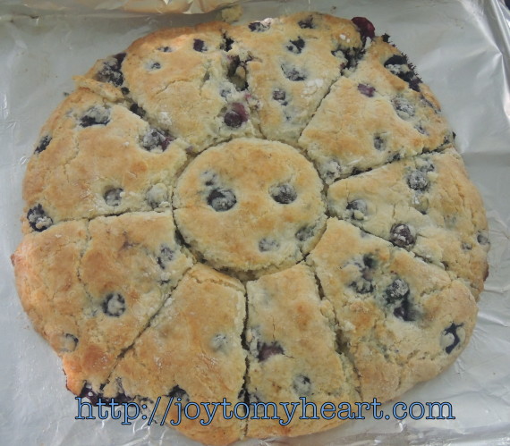 blueberry scones baked