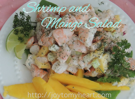 shrimp and mango salad2