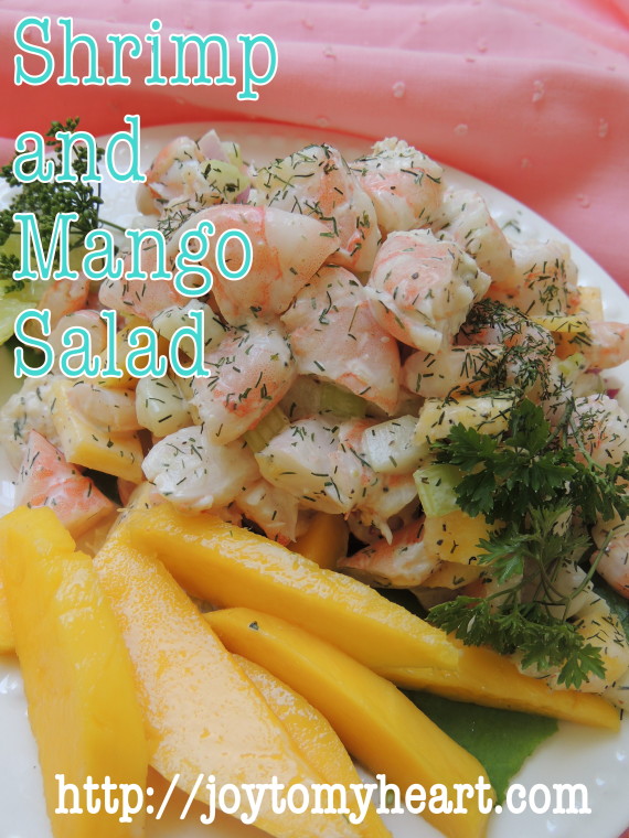 shrimp and mango salad5