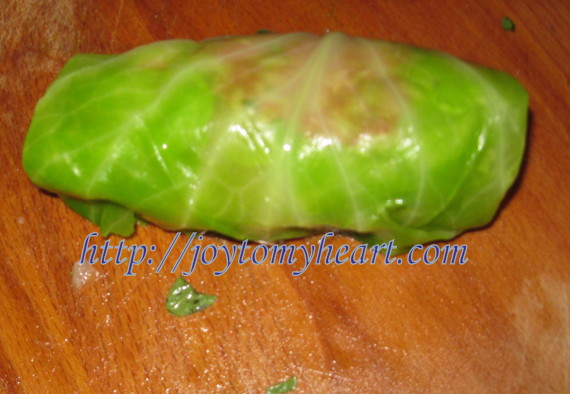 a cabbage roll