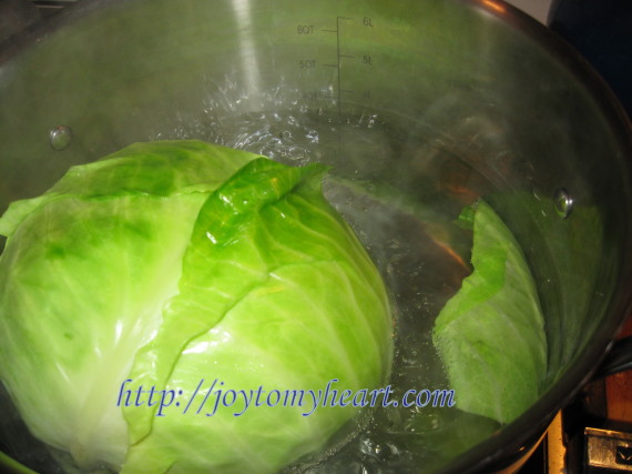 cook cabbage