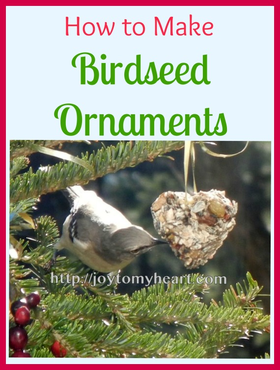 how to make Birdseed Ornamants