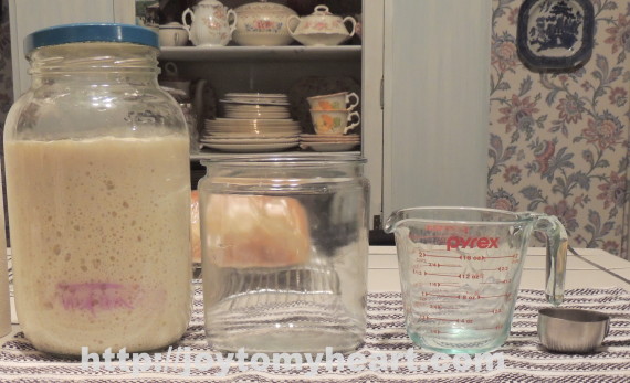 sourdough starter comparison jars