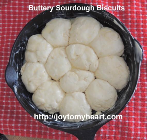 buttery sourdough biscuits dough