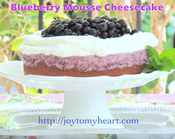 Blueberry Mousse Cheesecake7