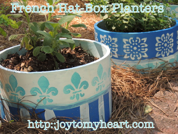 French Hat Box Planters