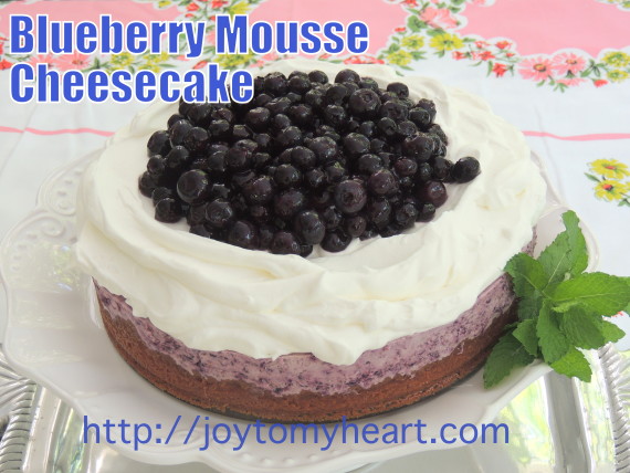 blueberry Mouse Cheesecake