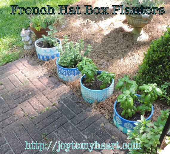 french hat box planters6