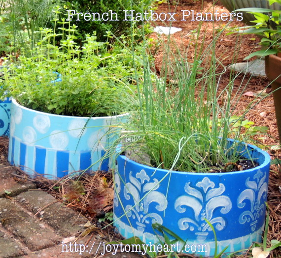 french hat box planters8