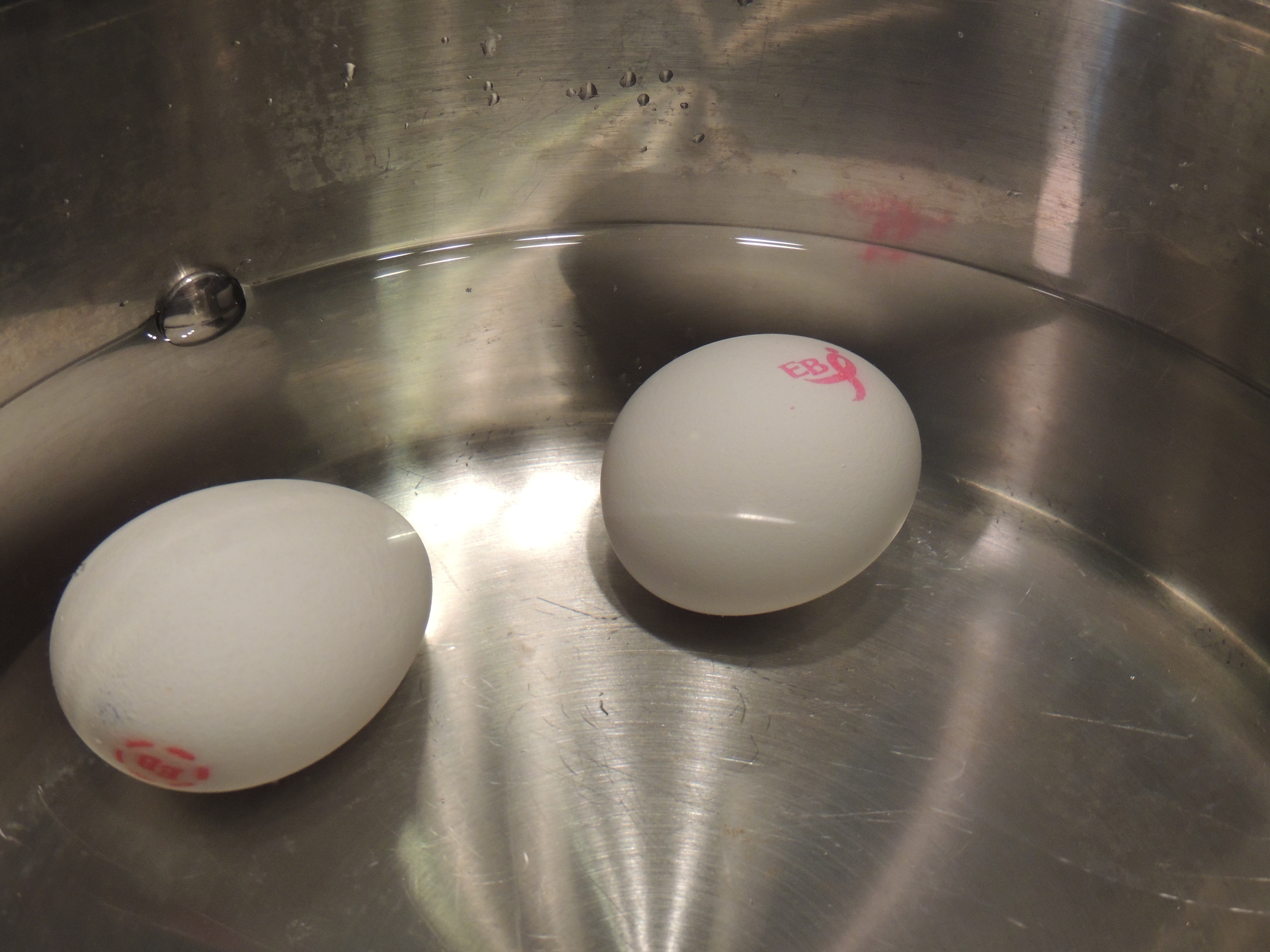 Отличить вареное от сырого. Яйцо крутится. Крутит яйца. Специальные тарелки для сырых яиц. Вареное яйцо или сырое.