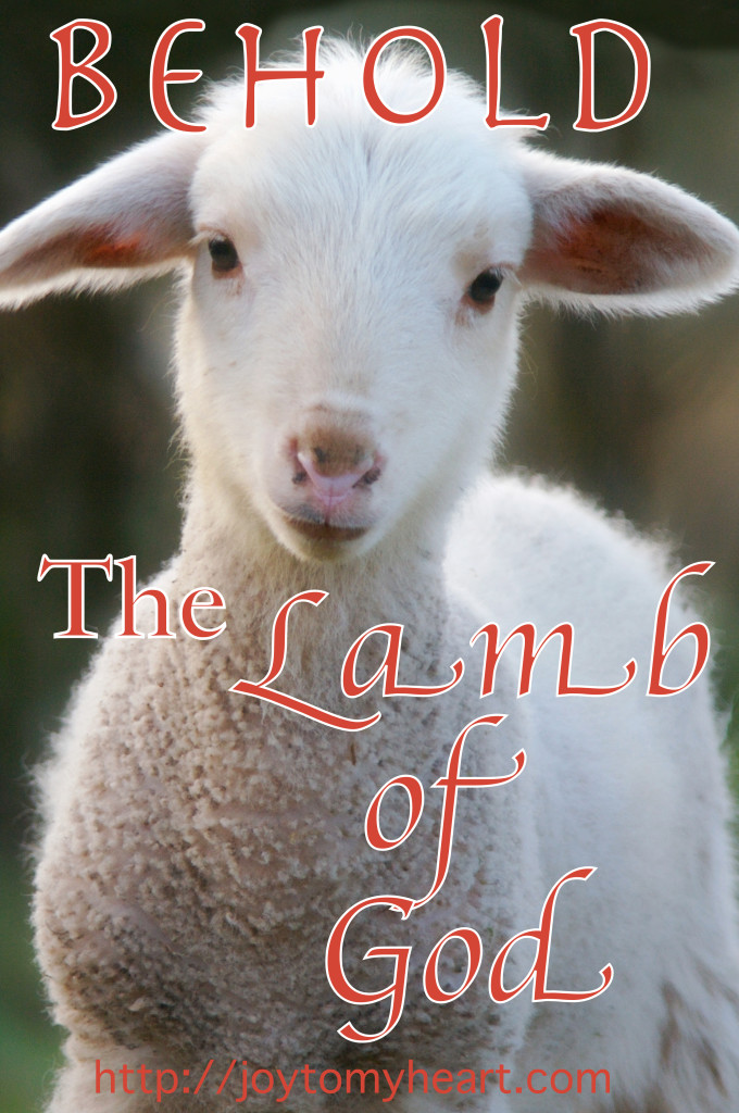 cult of the lamb blue heart